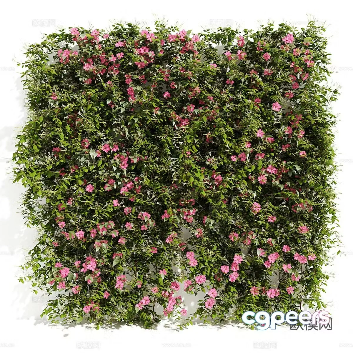 Green wall garden 3d model