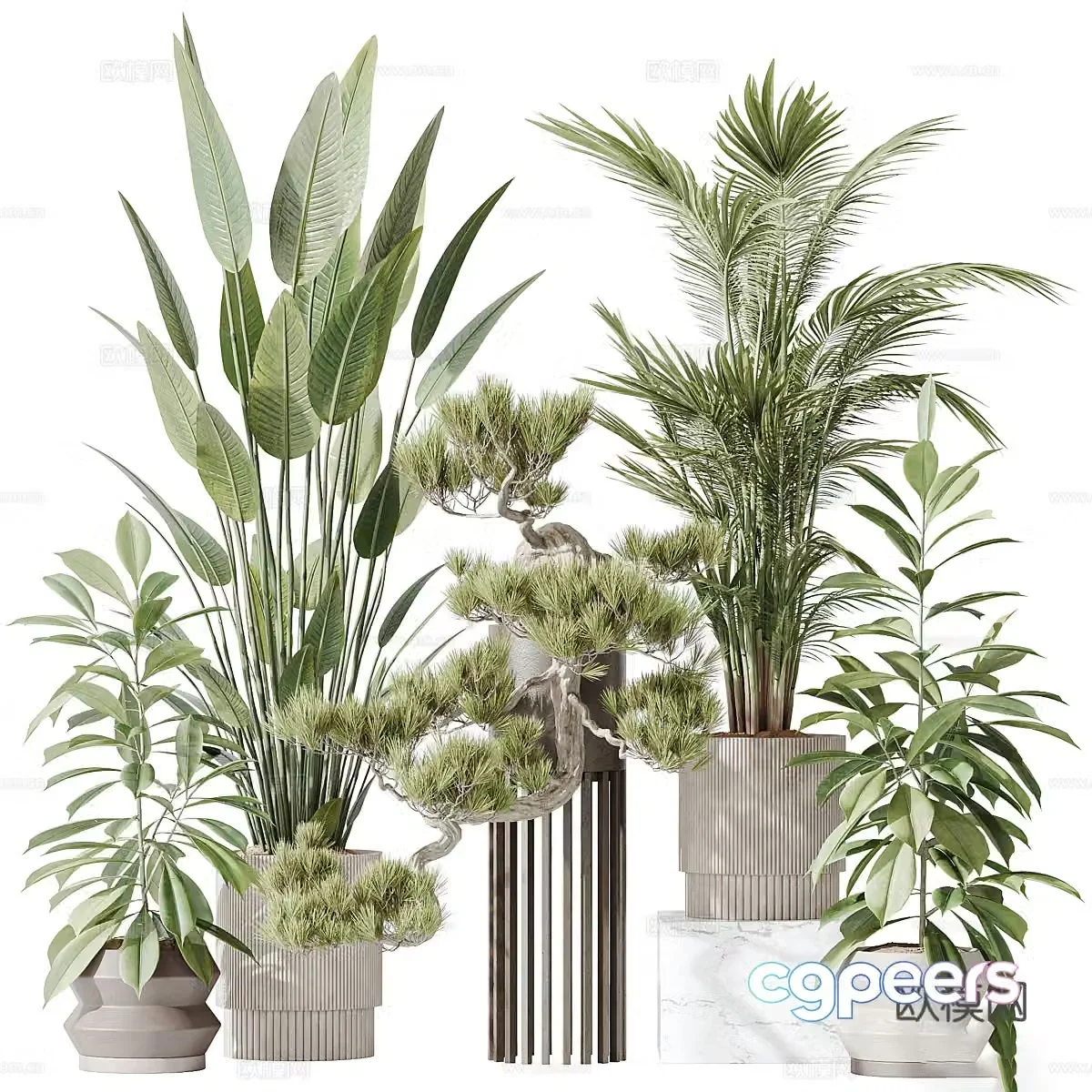 Modern green plant potted 3D model