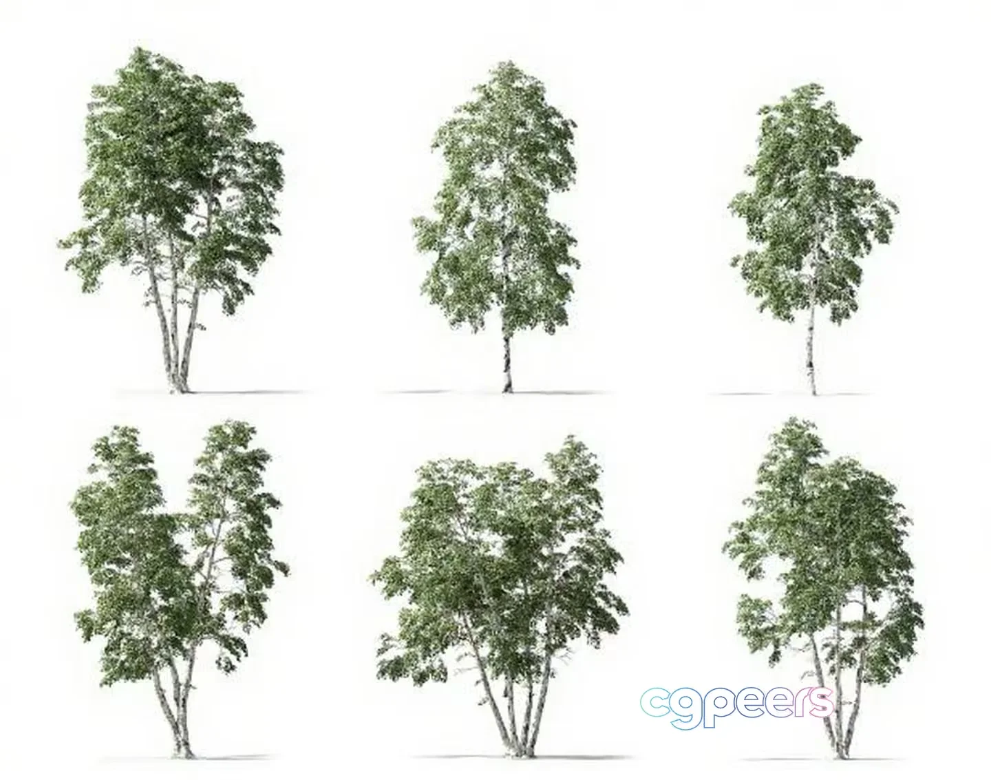 Six Trees 3D Model – 12051 – VRAY Render