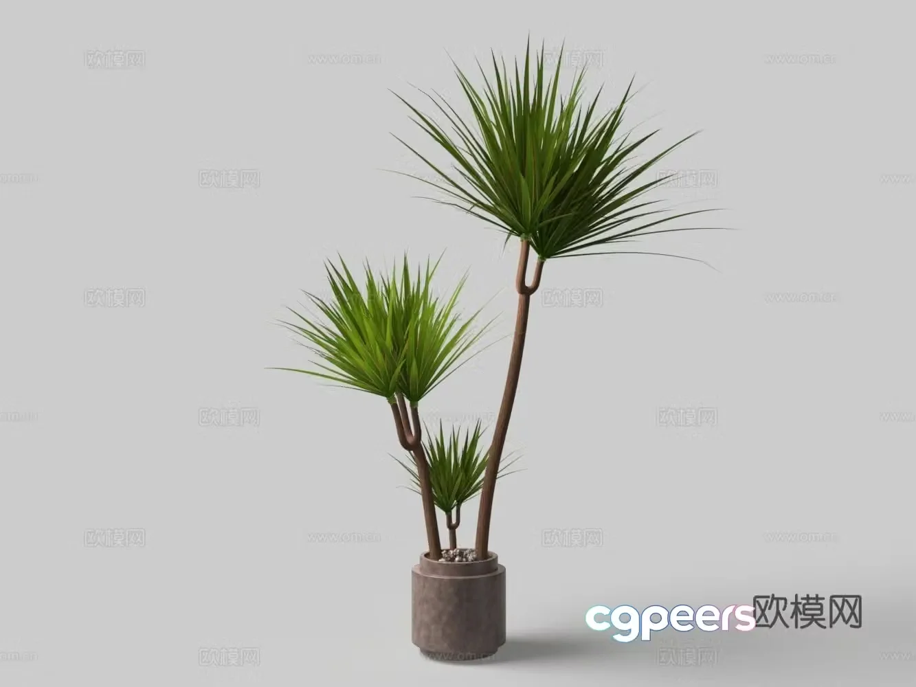 Modern floor-standing flower pot bonsai 3D model