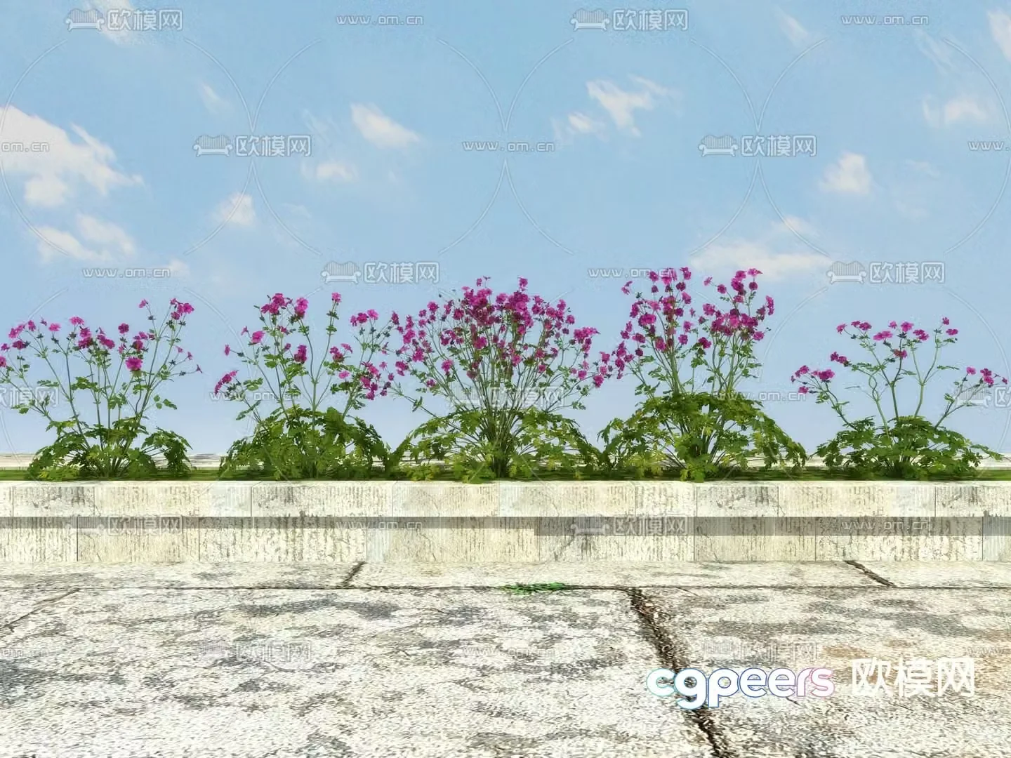Flowering shrubs flower trough garden plants 3d model