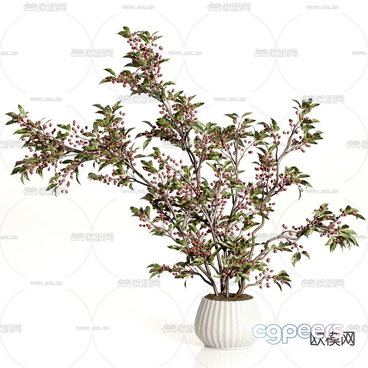 Potted plants Bonsai Flowerpot 3D model