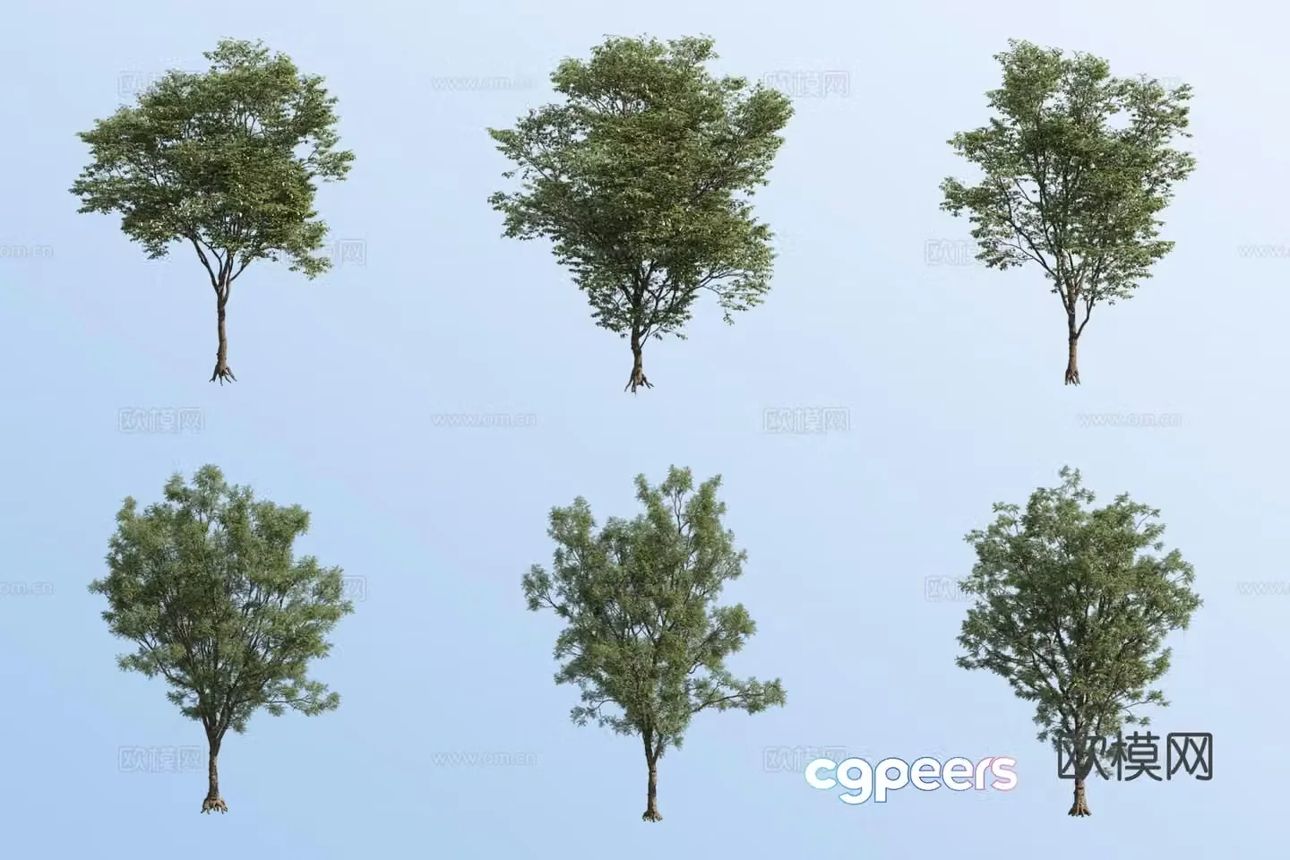 Small tree landscape tree green tree street tree 3D model