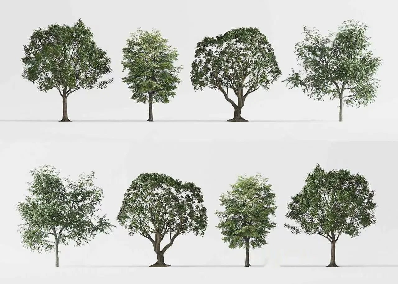 Trees With Green Leaves 3D Model – 19734 – CORONA Render