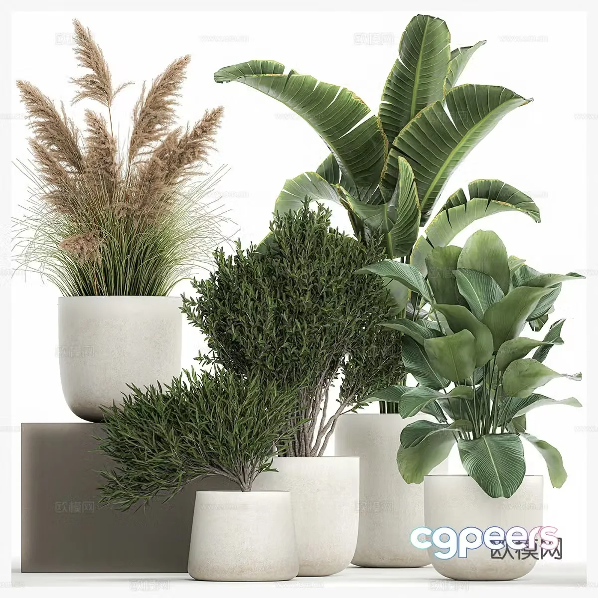 Green plant potted 3d model
