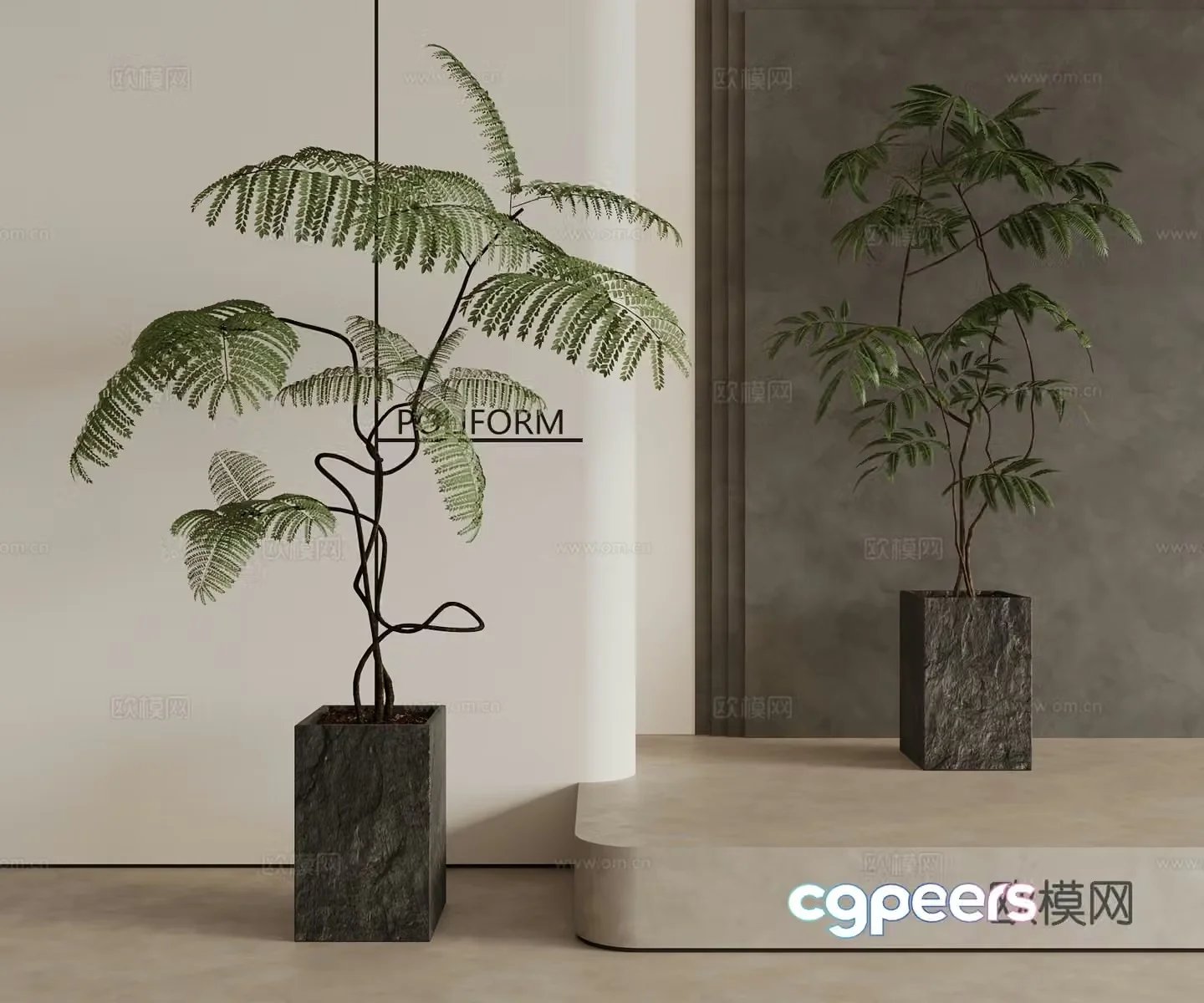Modern Middle Style Plant 3D Model