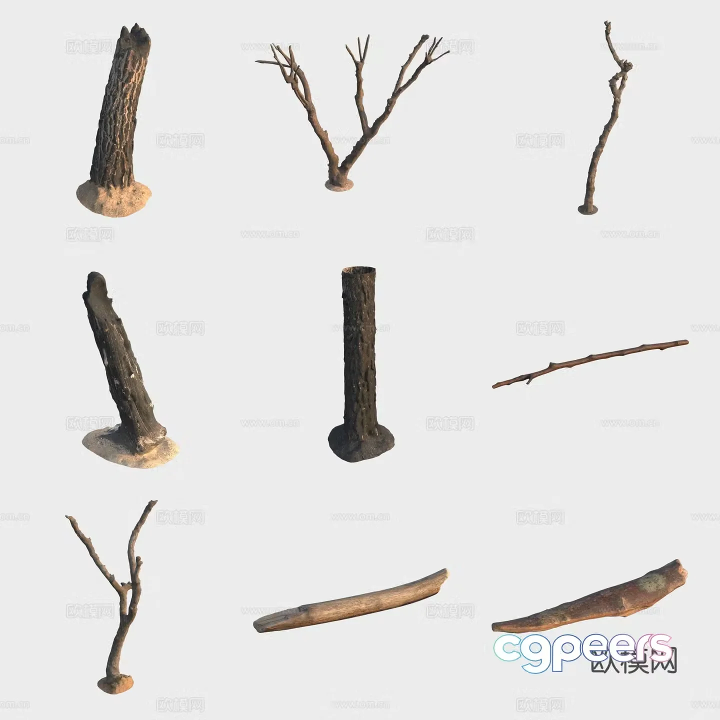 3d model of trunk branches stump