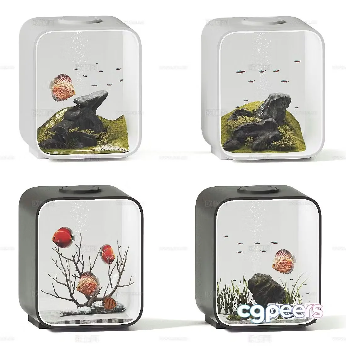Small fish tank aquarium 3d model