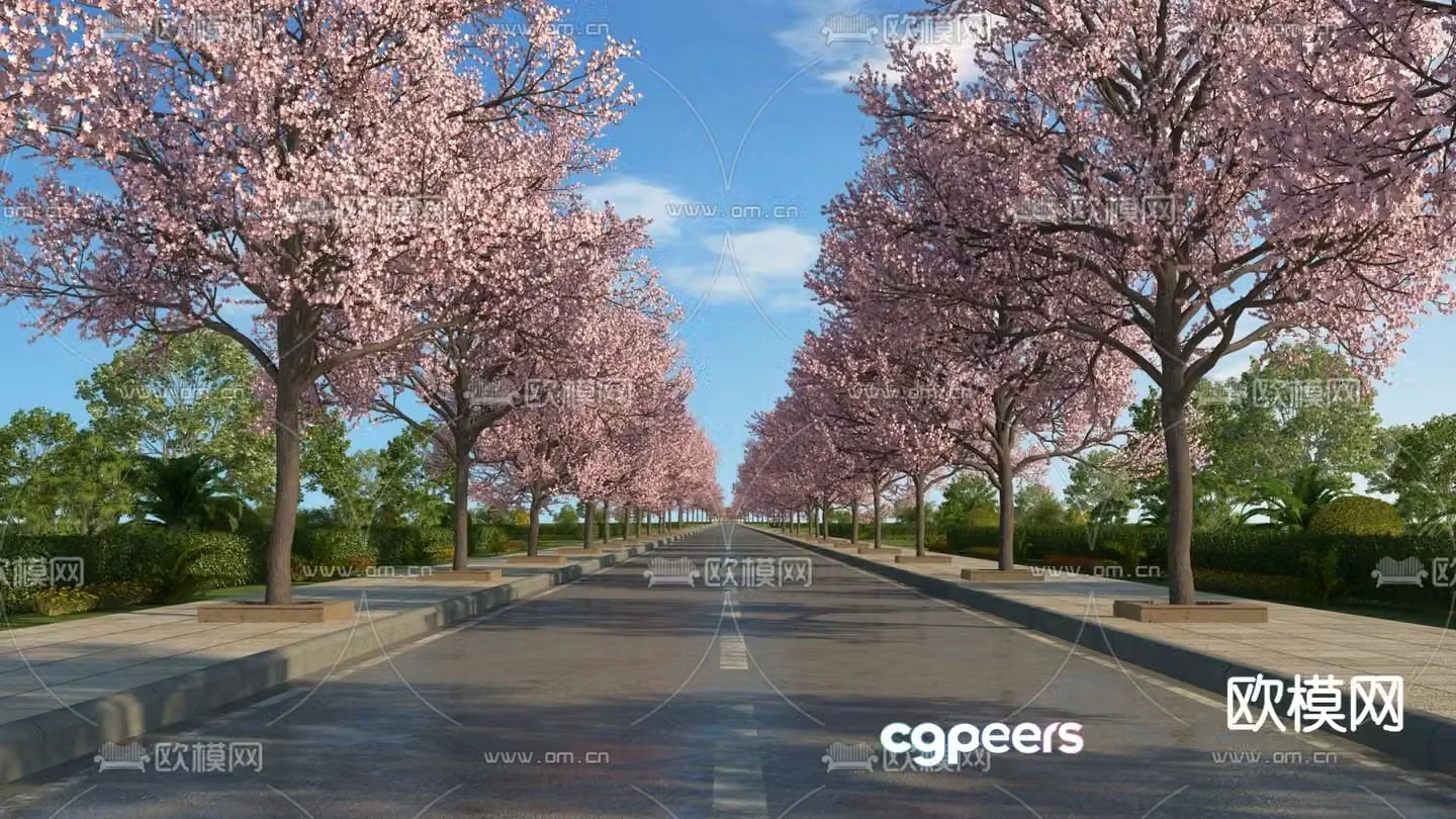 cherry blossom tree road 3d model