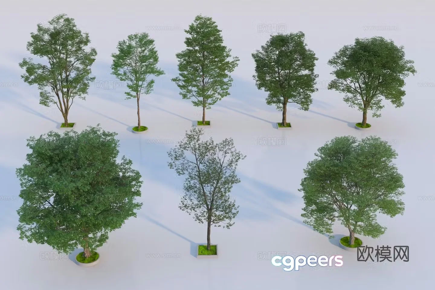 Modern landscape tree 3d model