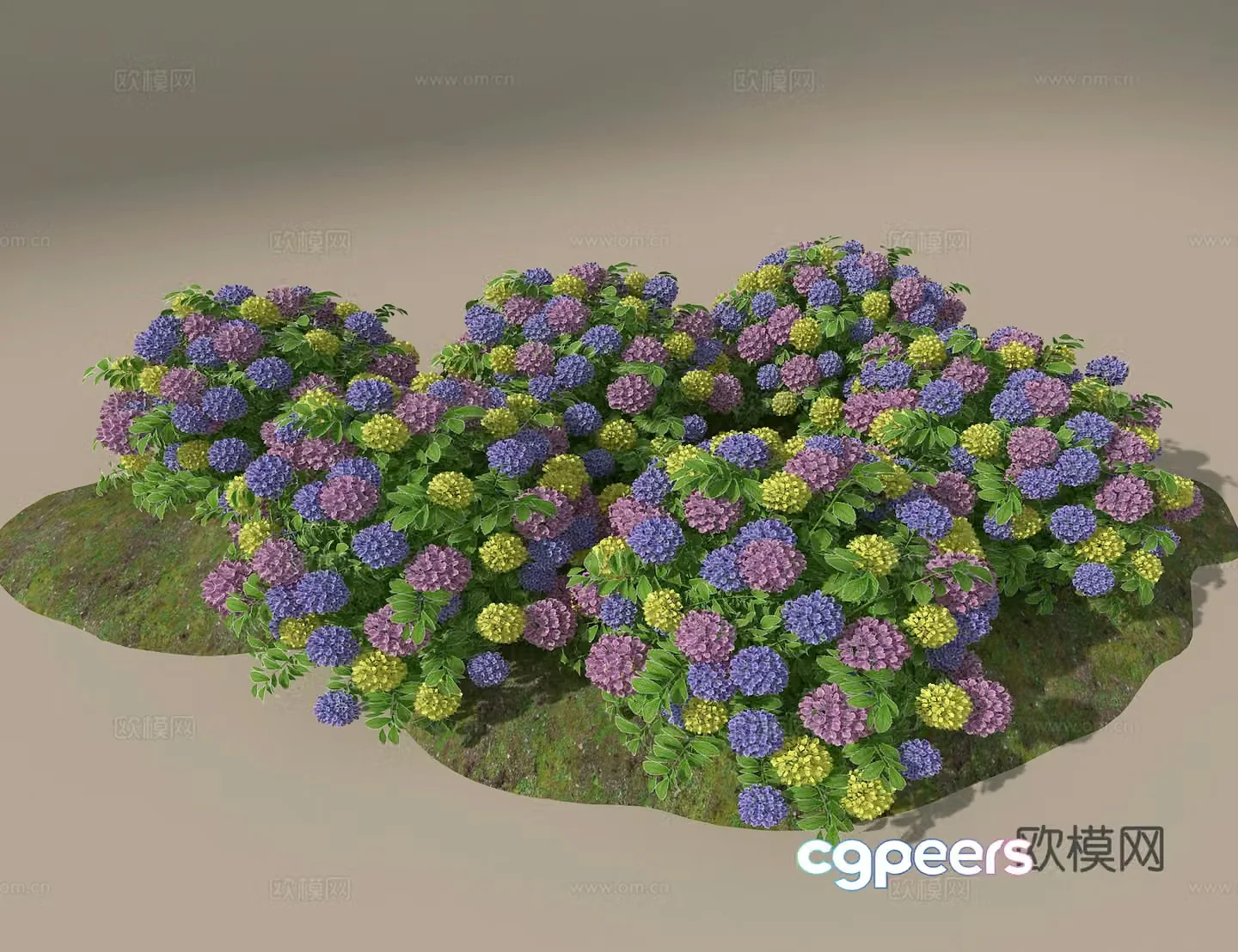 Hydrangea 3d model