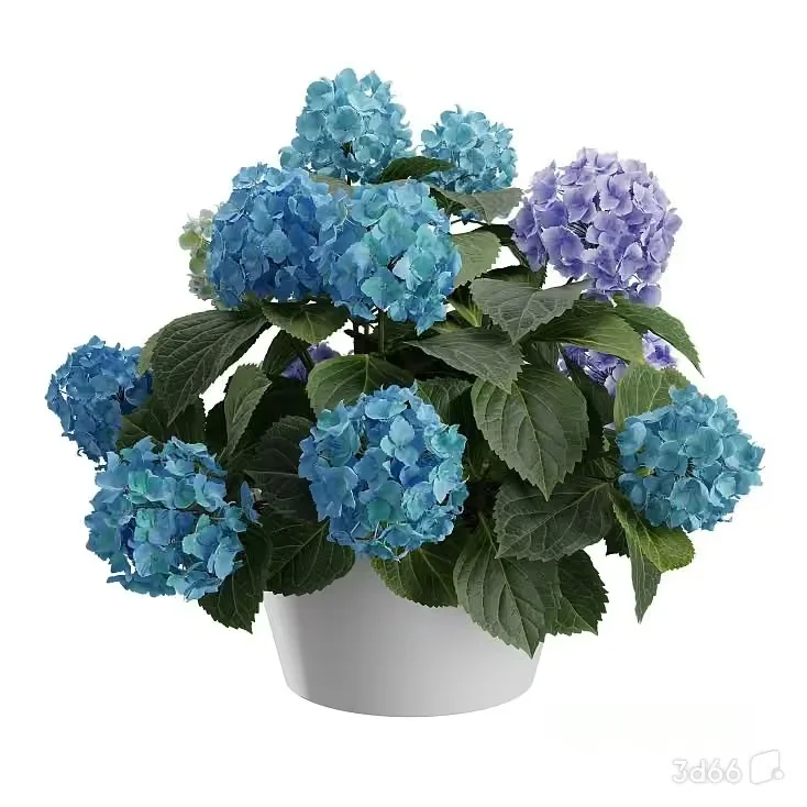 Blue Flower Plant 3D Model – 18607 – VRAY Render
