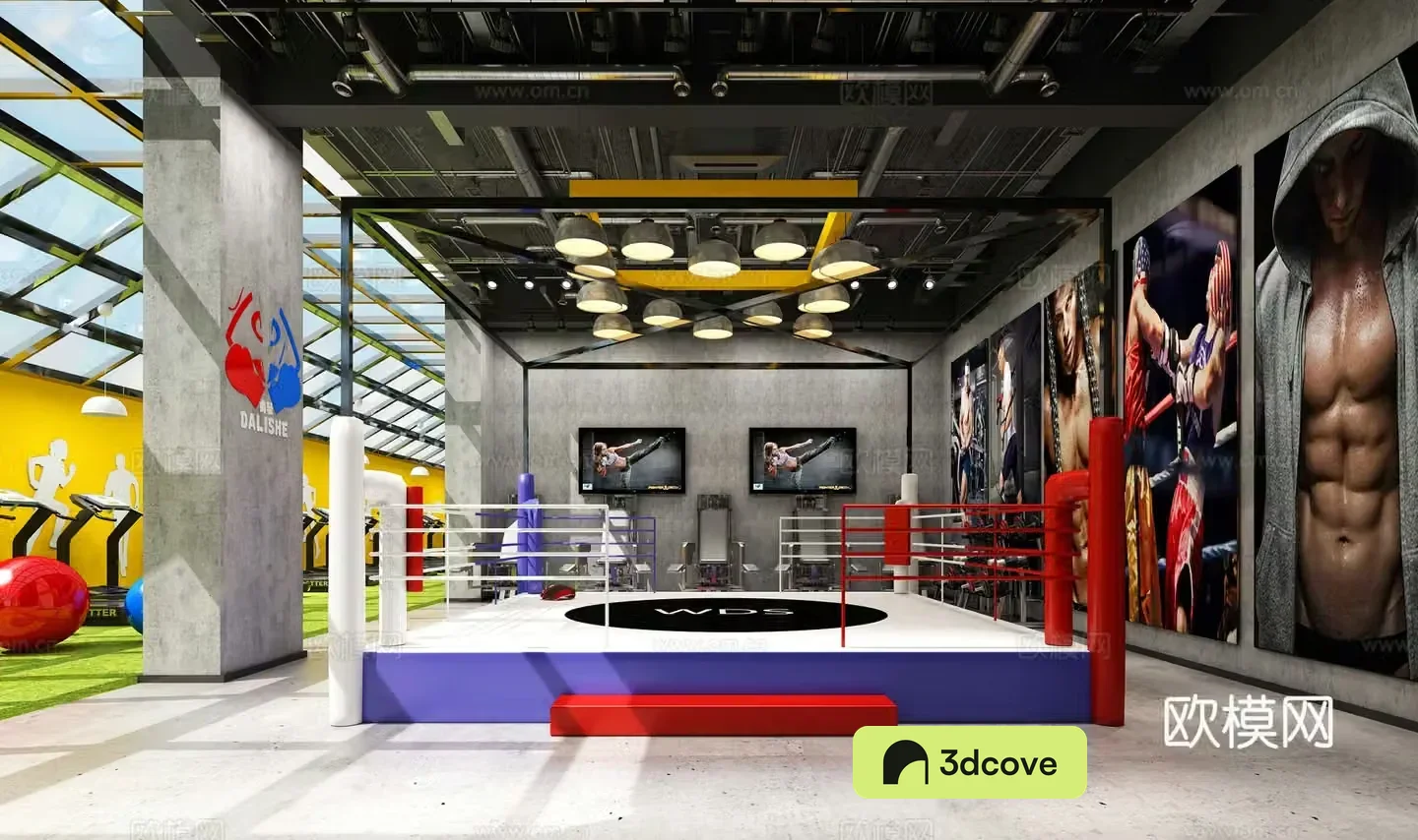 Industrial style gym fitness equipment