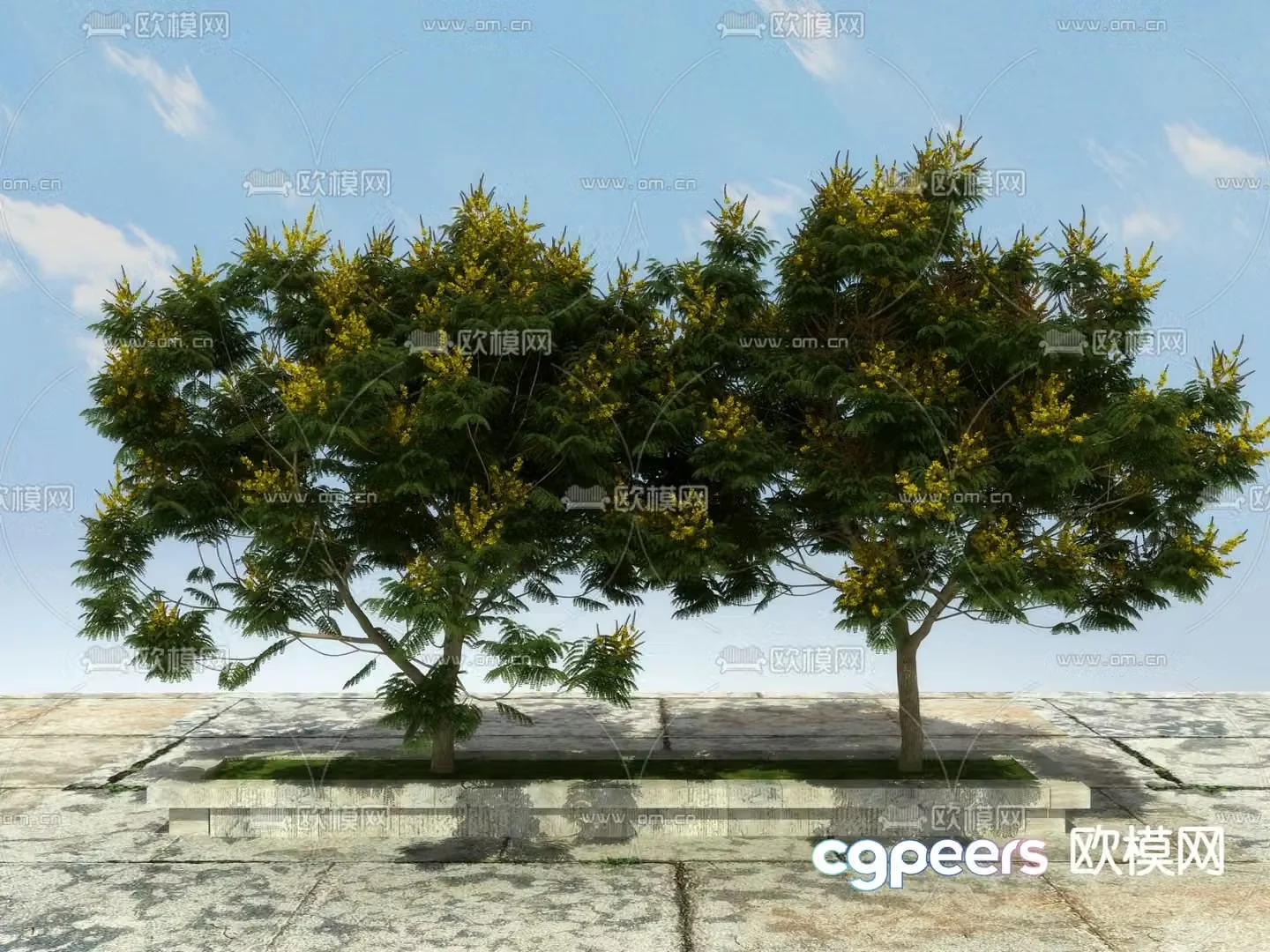 Landscape tree tree hair tree 3d model