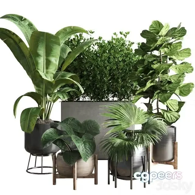 3ds Max Free – collection Indoor plant 43 vase