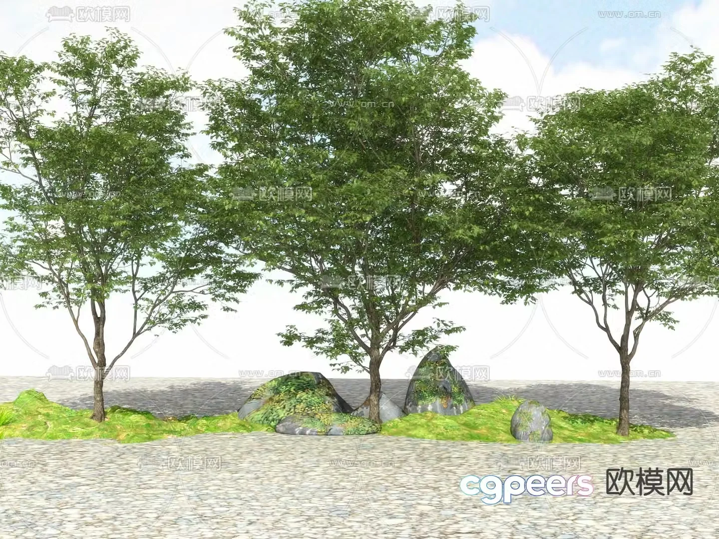 Outdoor green plants tree tree big tree tree 3d model