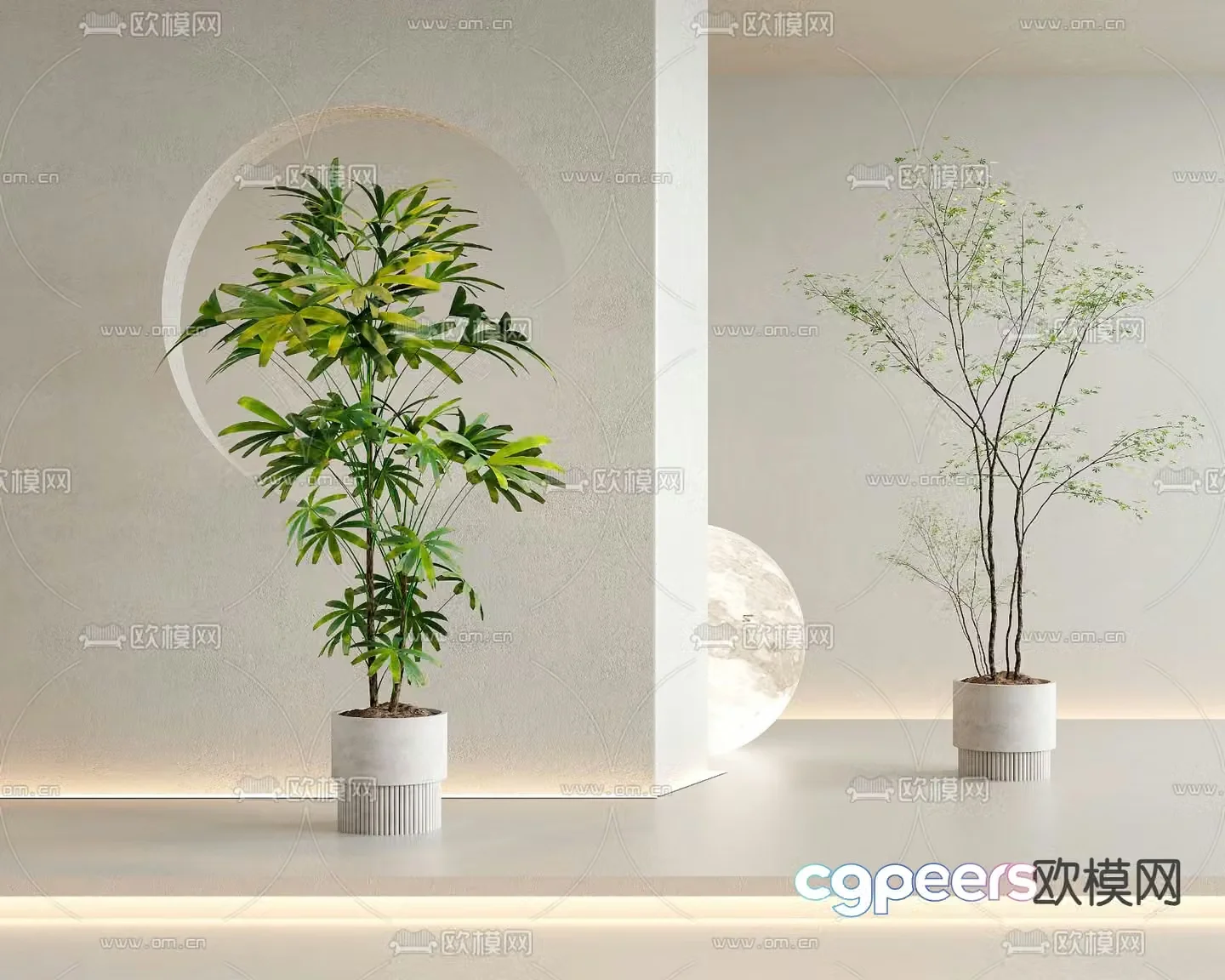Potted plants Bonsai Green plants 3D model