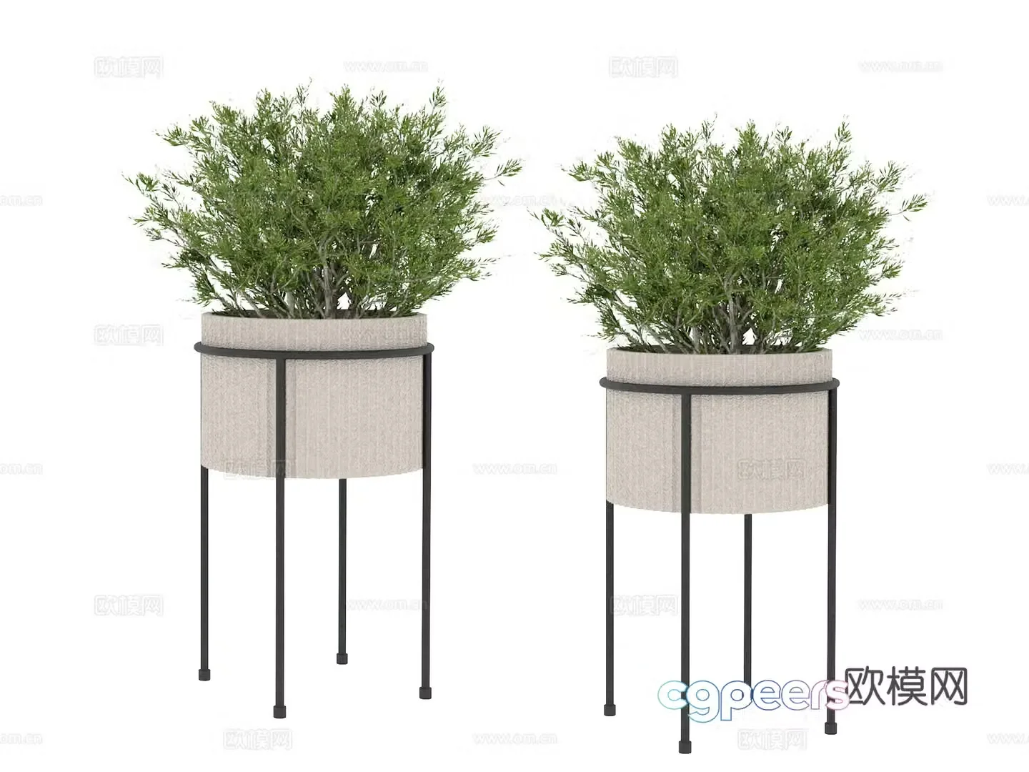 Plant Potted Tree 3D Model