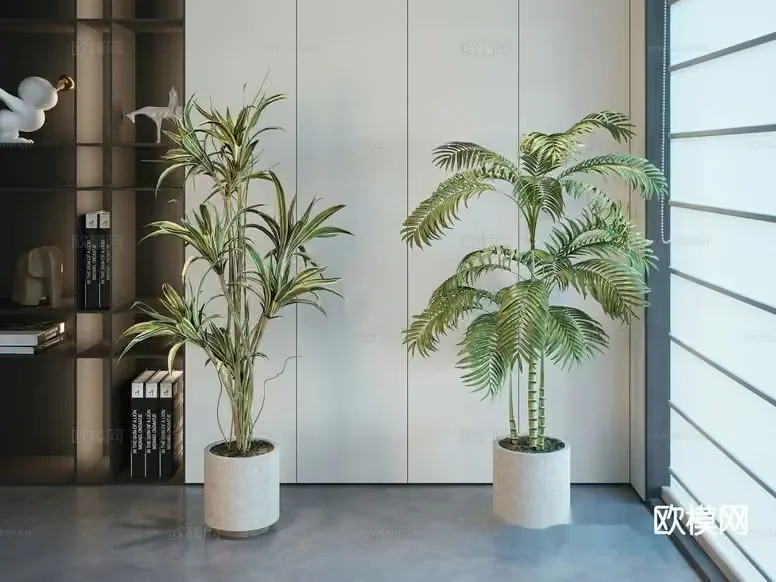 Modern Indoor Plants 3D Model – 13852 – CORONA Render