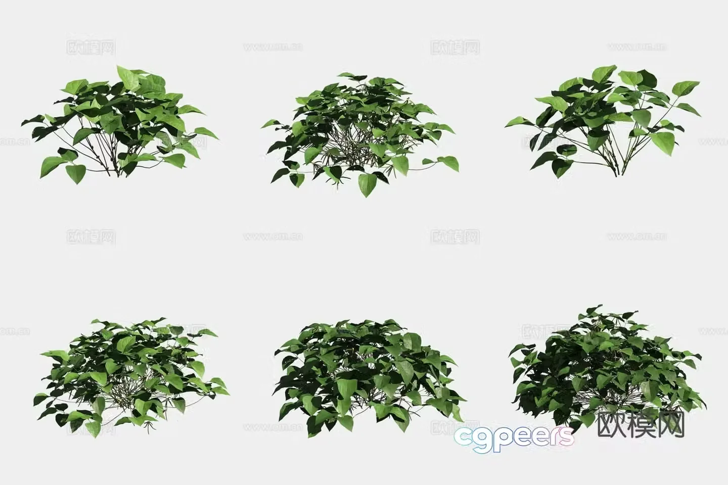 Mung bean crops crops vegetables 3d model