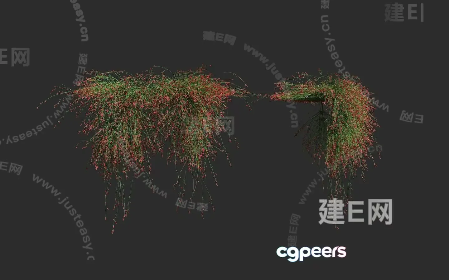 A Grassy Plant With Red And Green Leaves 3D Model – 15716 – VRAY Render