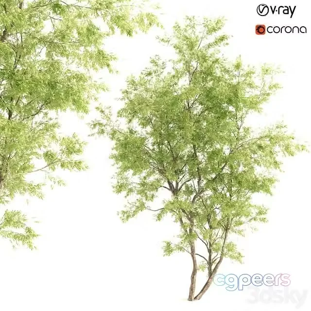 3ds Max Free – Jam tree