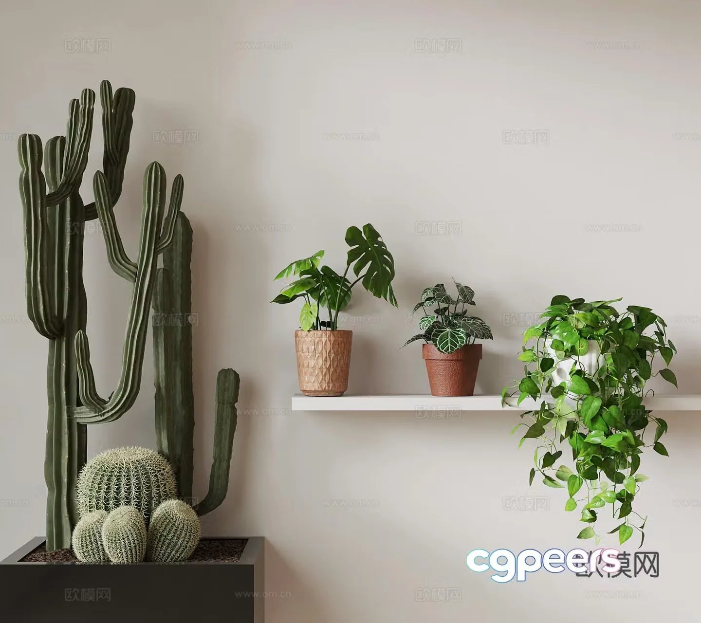 Modern desktop green plants cactus spider plant monstera 3d model
