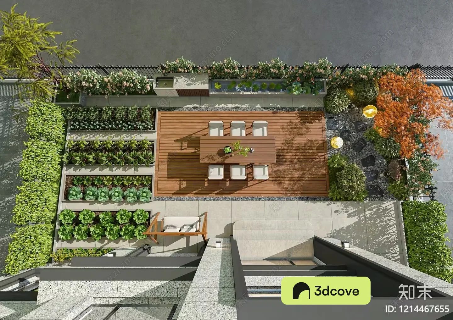 Modern Urban Garden