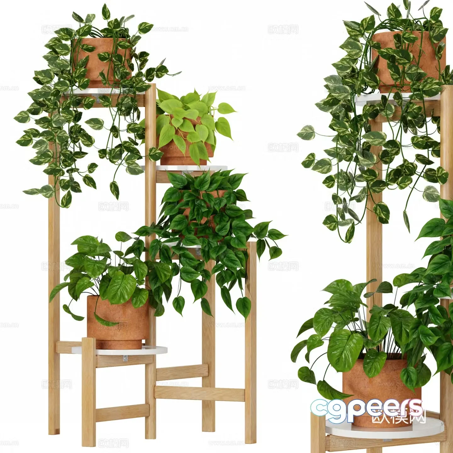indoor plant potted flower stand 3d model