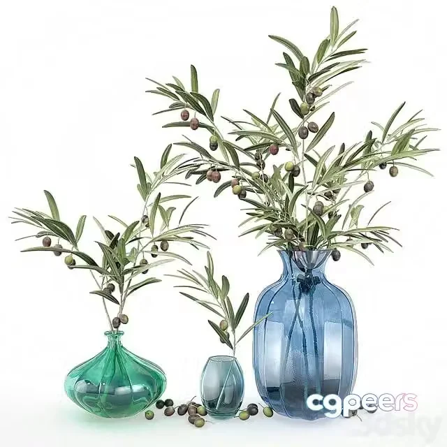 3ds Max Free – Bouquet of olive branches