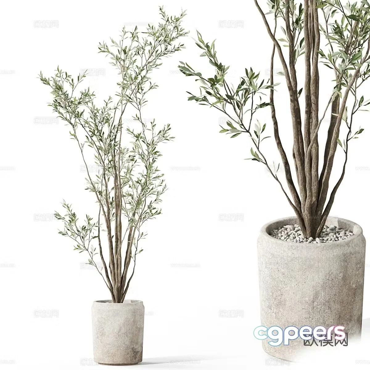 New Chinese style wabi sabi pot plant 3D model