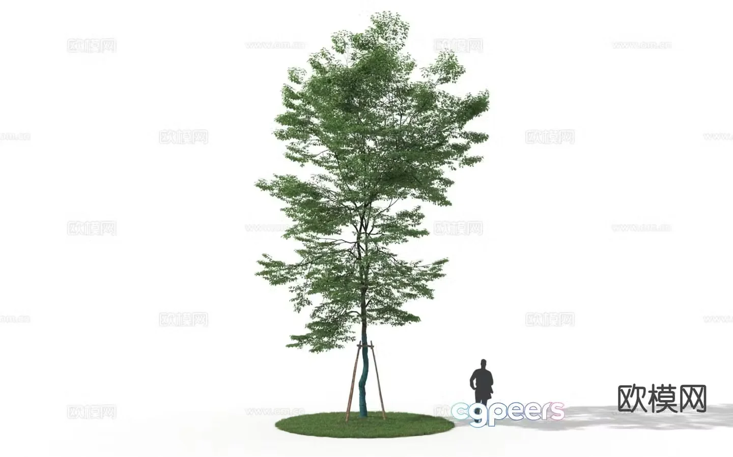 Landscape tree Tree Windproof Cotton Tree Street Tree 3D Model