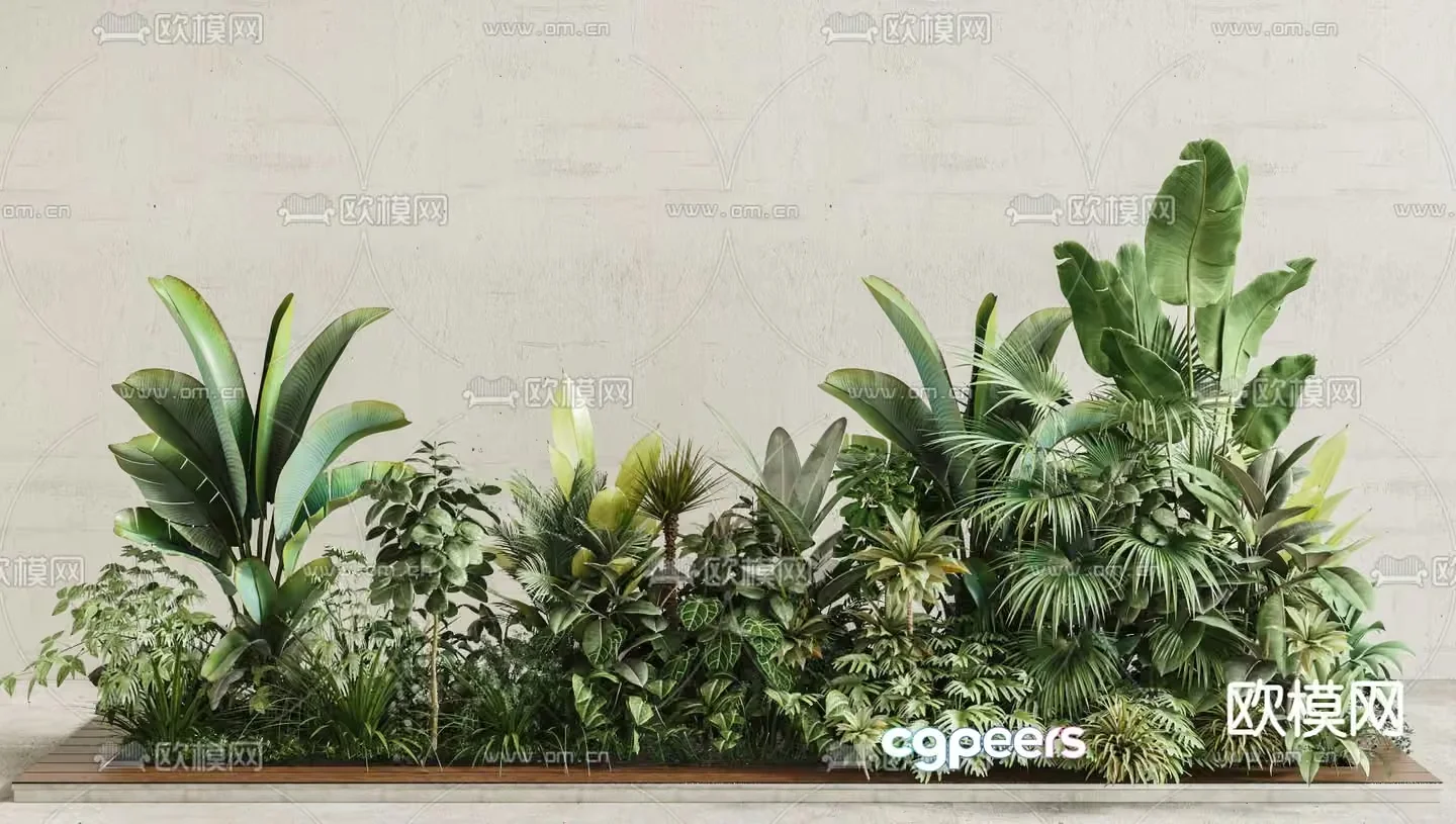 Green Tropical Plants 3D Model – 2244 – VRAY Render