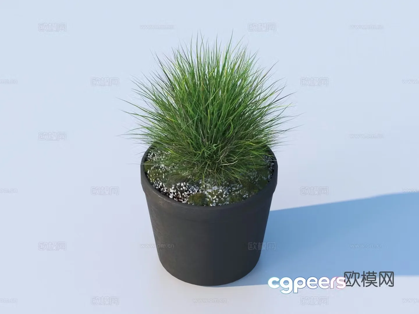 flowerpot potted plant green plant plant 3d model