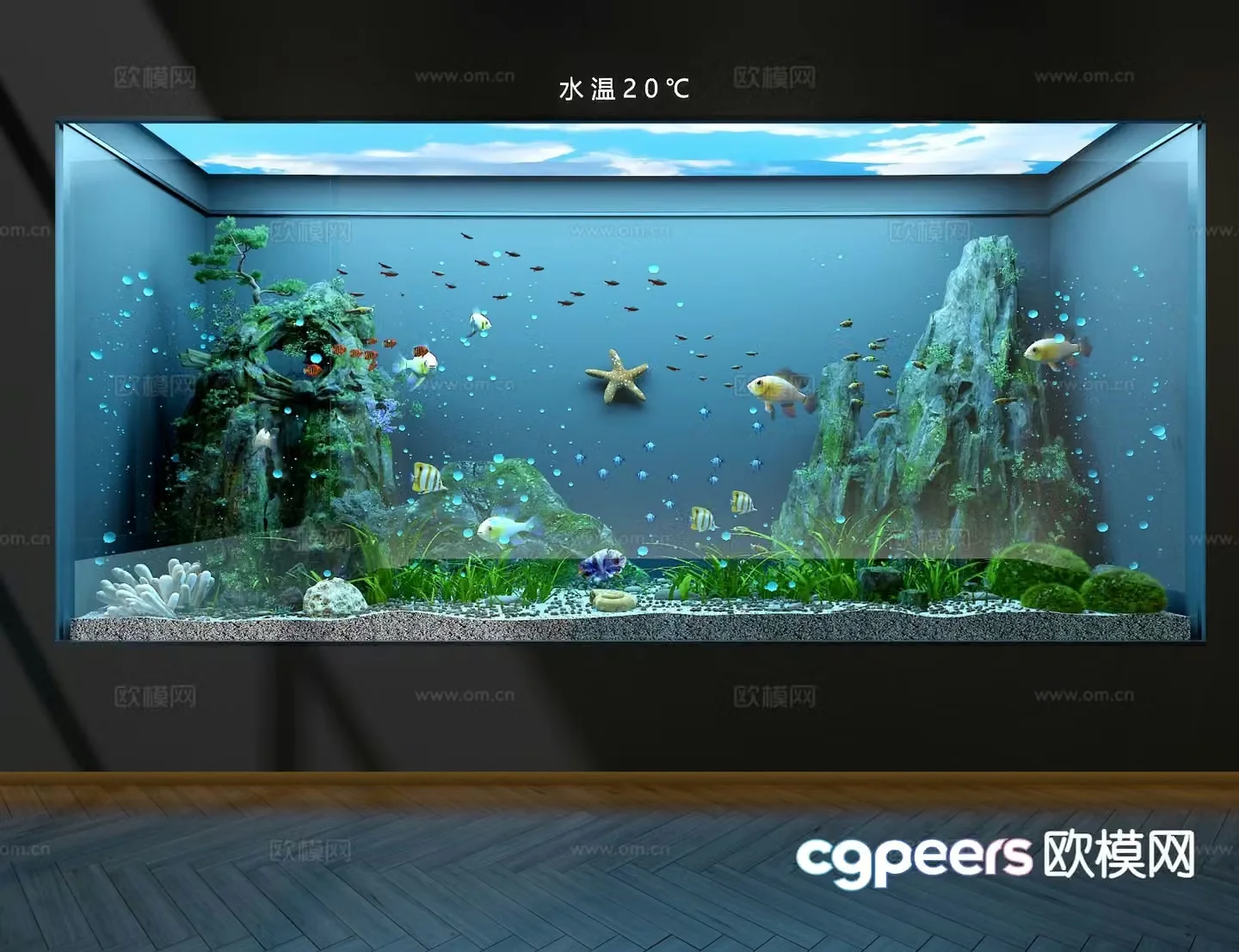 Ecological fish tank aquarium 3d model