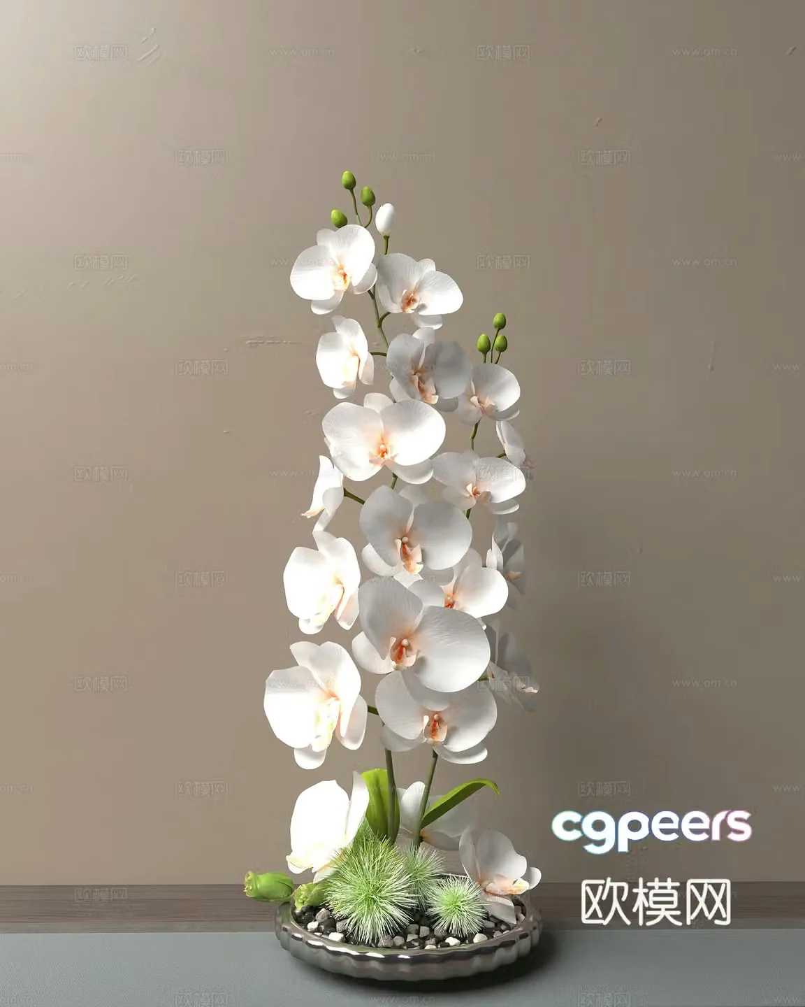 Potted Plant Flower Pot Bonsai Flower 3D Model