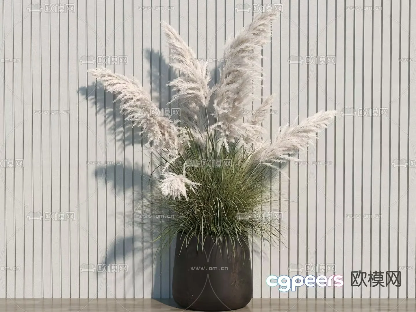 Potted plant pampas 3d model