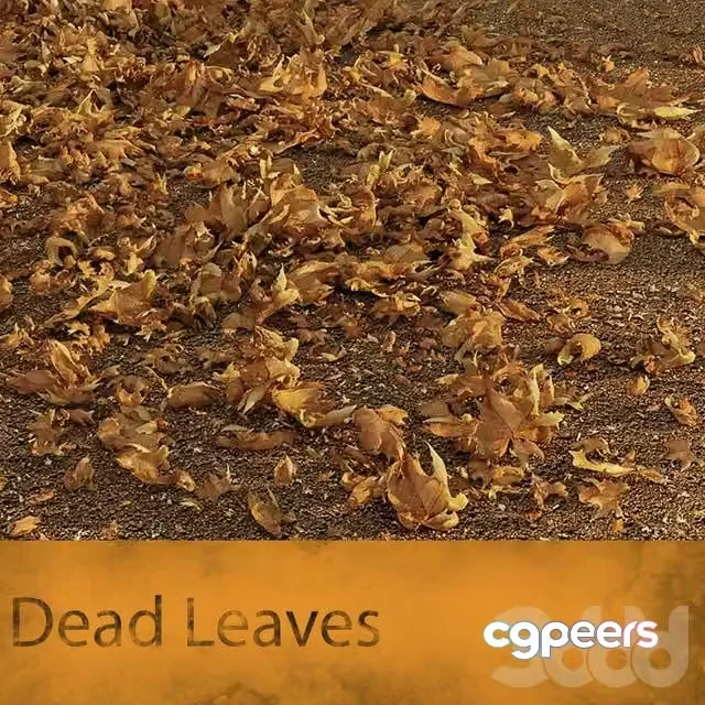 3ds Max Free – Dead Leaves