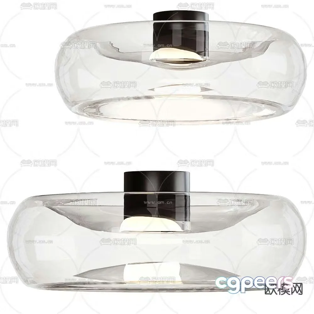Cangini & Tucci Ceiling Light 3D Model