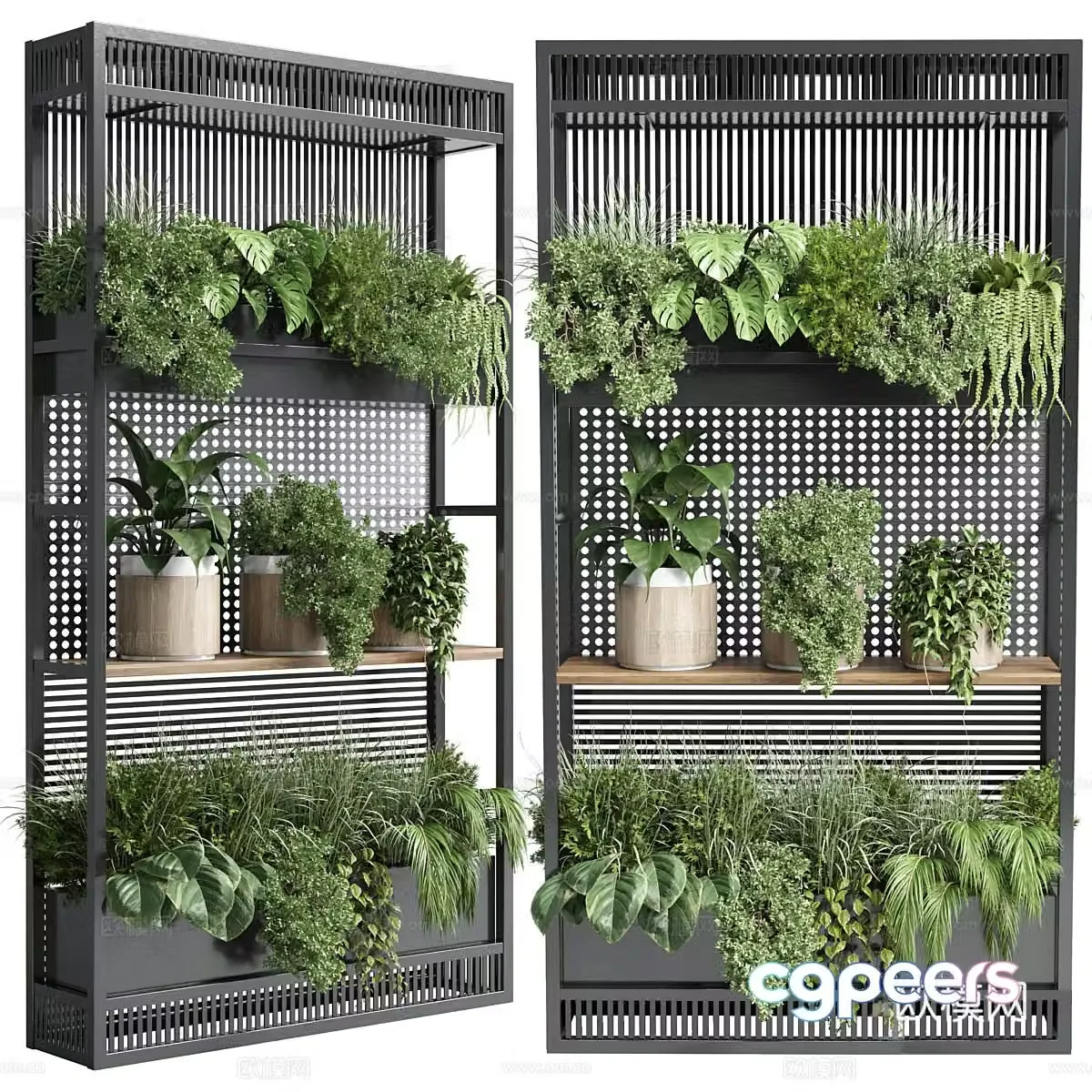 Plant flower stand 3d model