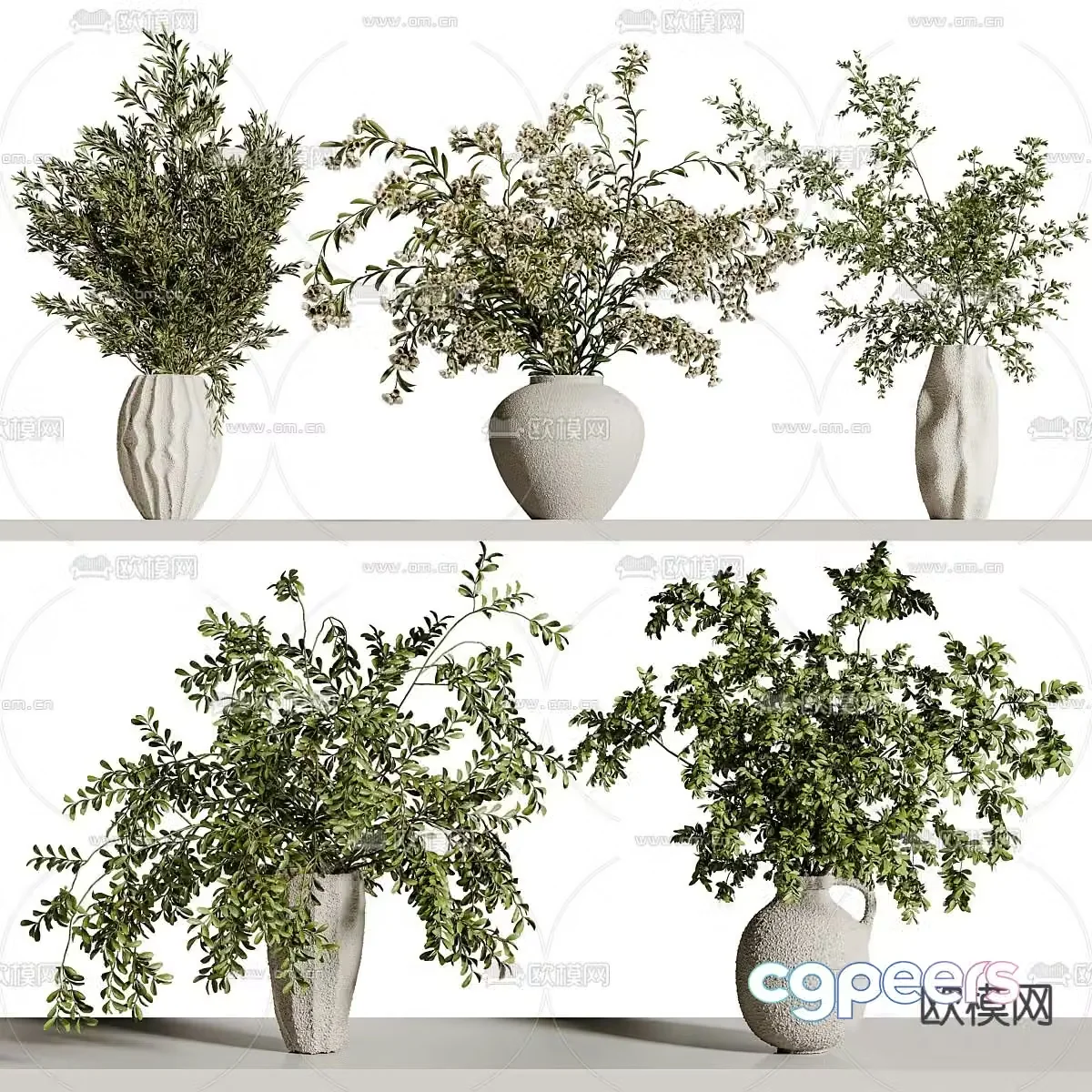 Plant potted green plant potted 3d model