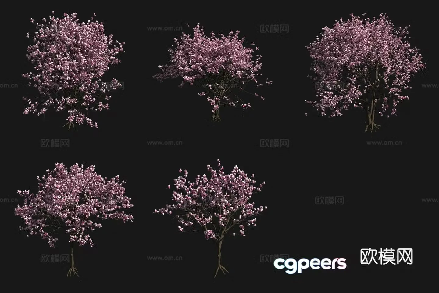 Erqiao Magnolia Tree Flowers Plants Shrubs Flowers Trees 3D Model