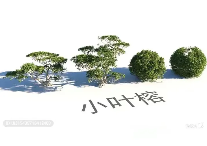 A Serene Landscape Featuring Three Trees And A Chinese Character Ev 3D Model – 16326 – VRAY Render