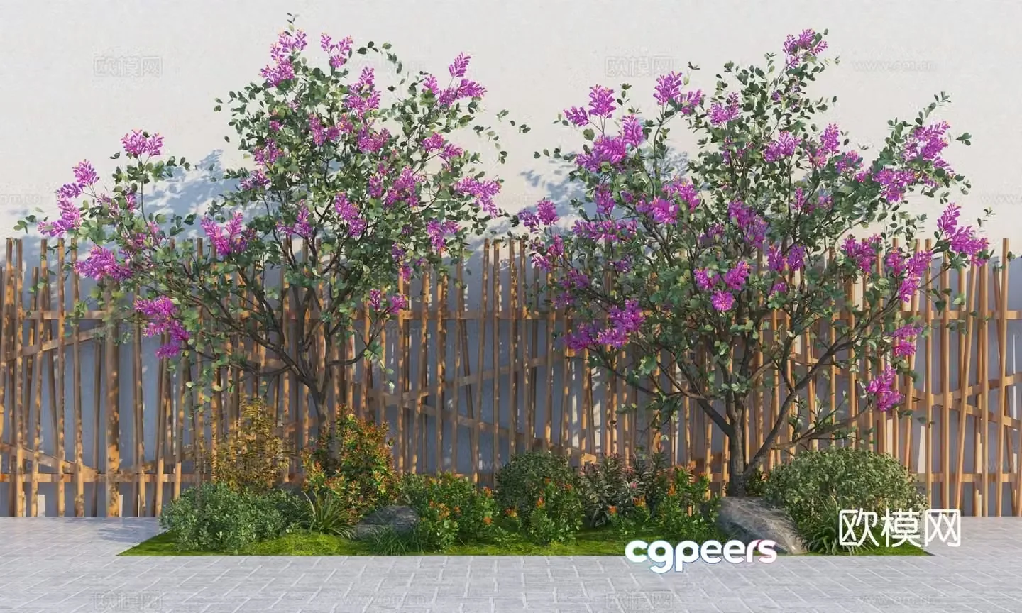 Modern Crabbit myrtle tree Begonia landscape tree 3D model