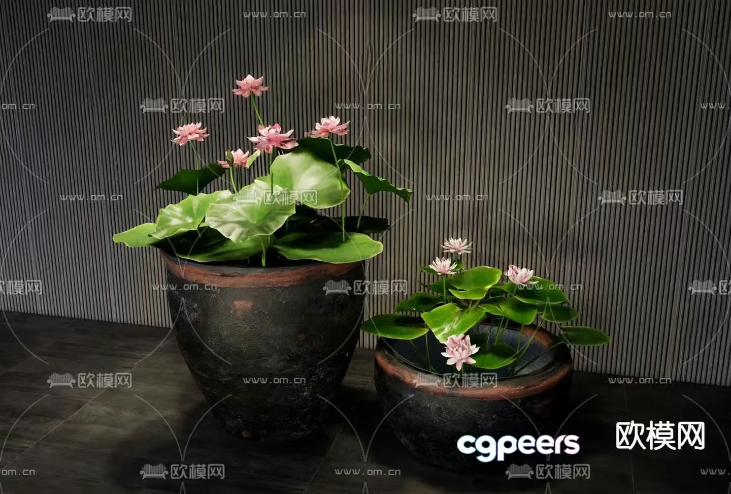 Chinese water tank lotus sketch 3D model