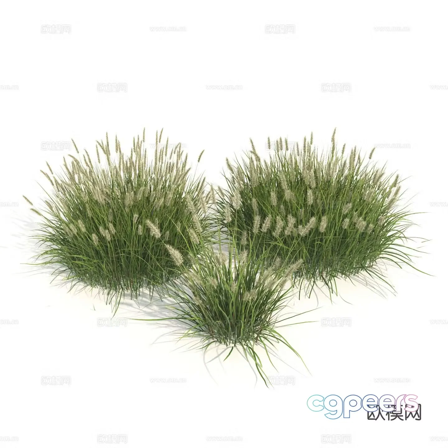 Plants Green Plants Shrubs Flowers Thatch 3d model