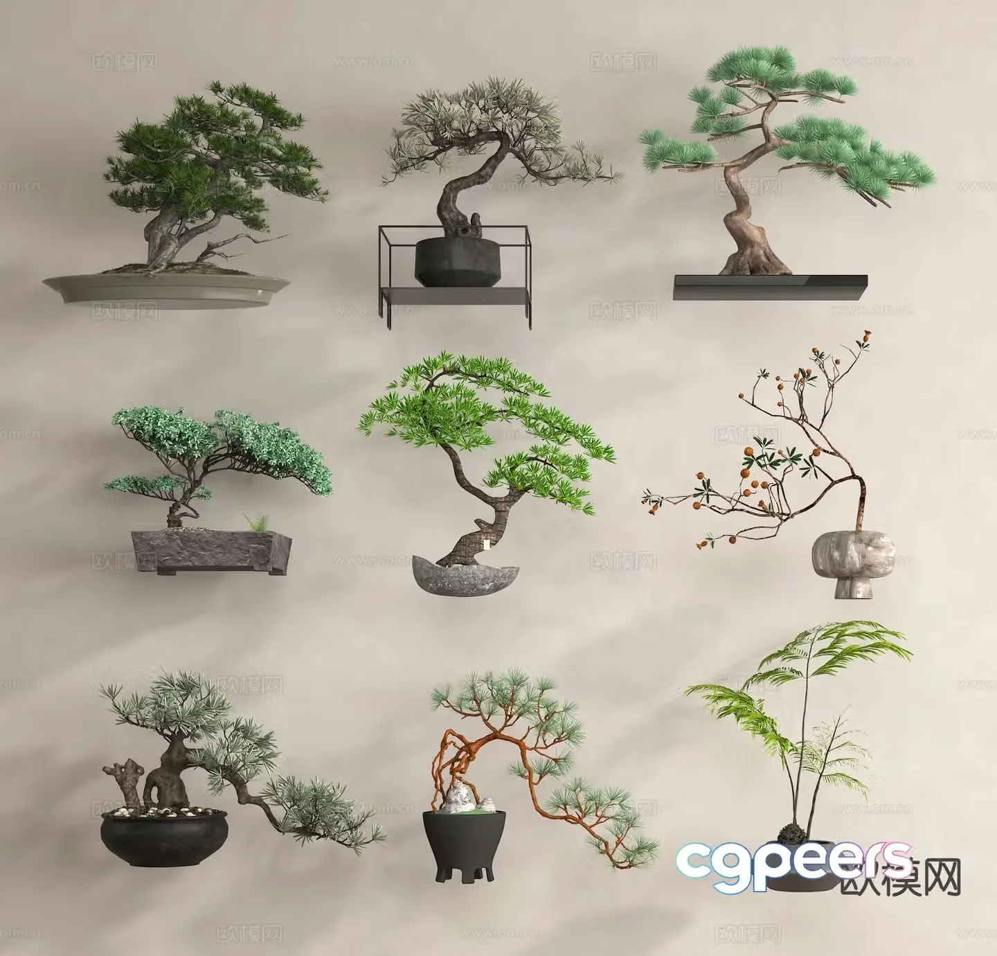 Potted pine potted welcoming pine 3d model