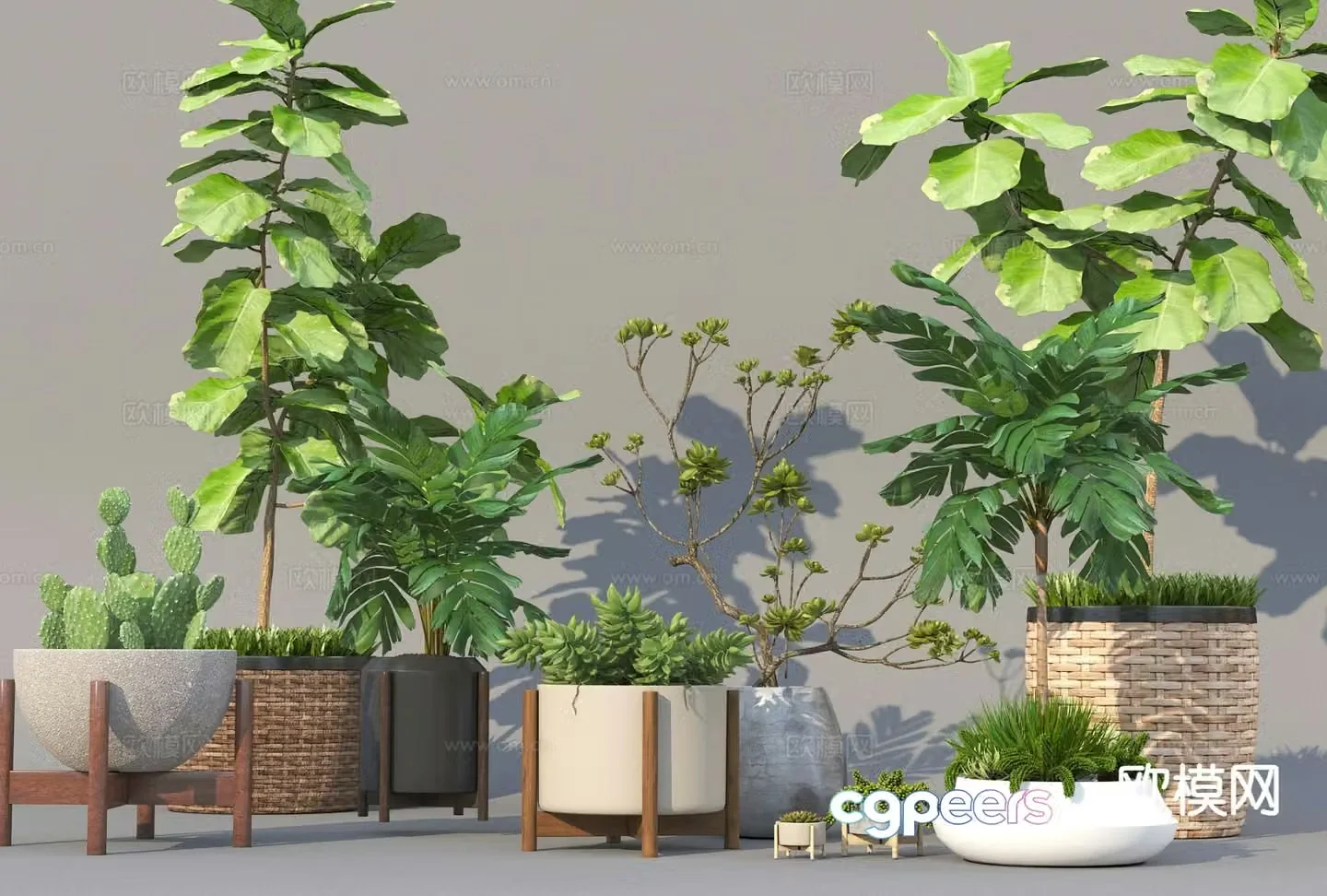 Modern potted plants bonsai green plants 3d model