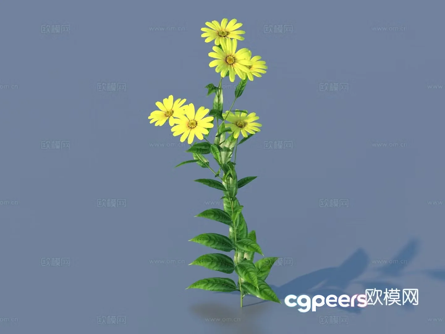 Flowers Wild Flowers Green Plants Flowers 3D Model