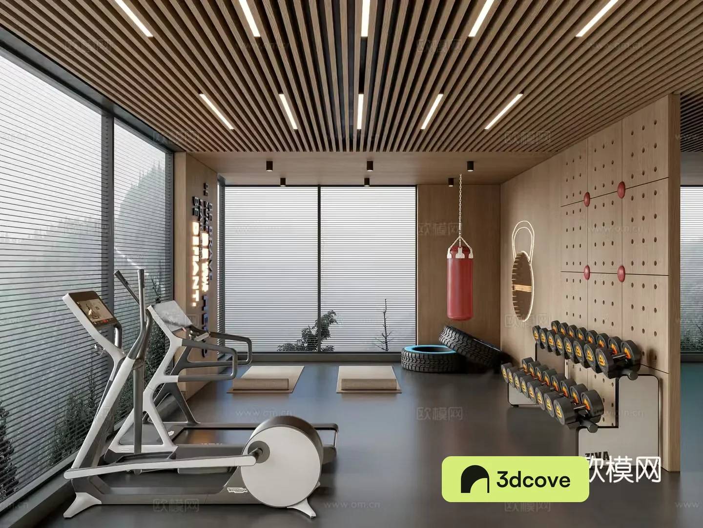 Modern gym